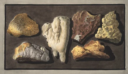 Espécimes de matéria vulcânica retirados do interior da cratera do Vesúvio, placa XXXXIV, de &39;Campi Phlegraei: Observações sobre os vulcões das Duas Sicílias&39;, por Sir William Hamilton (1730-180